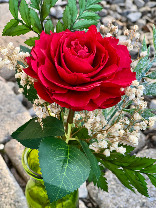 Single Red Garden Rose