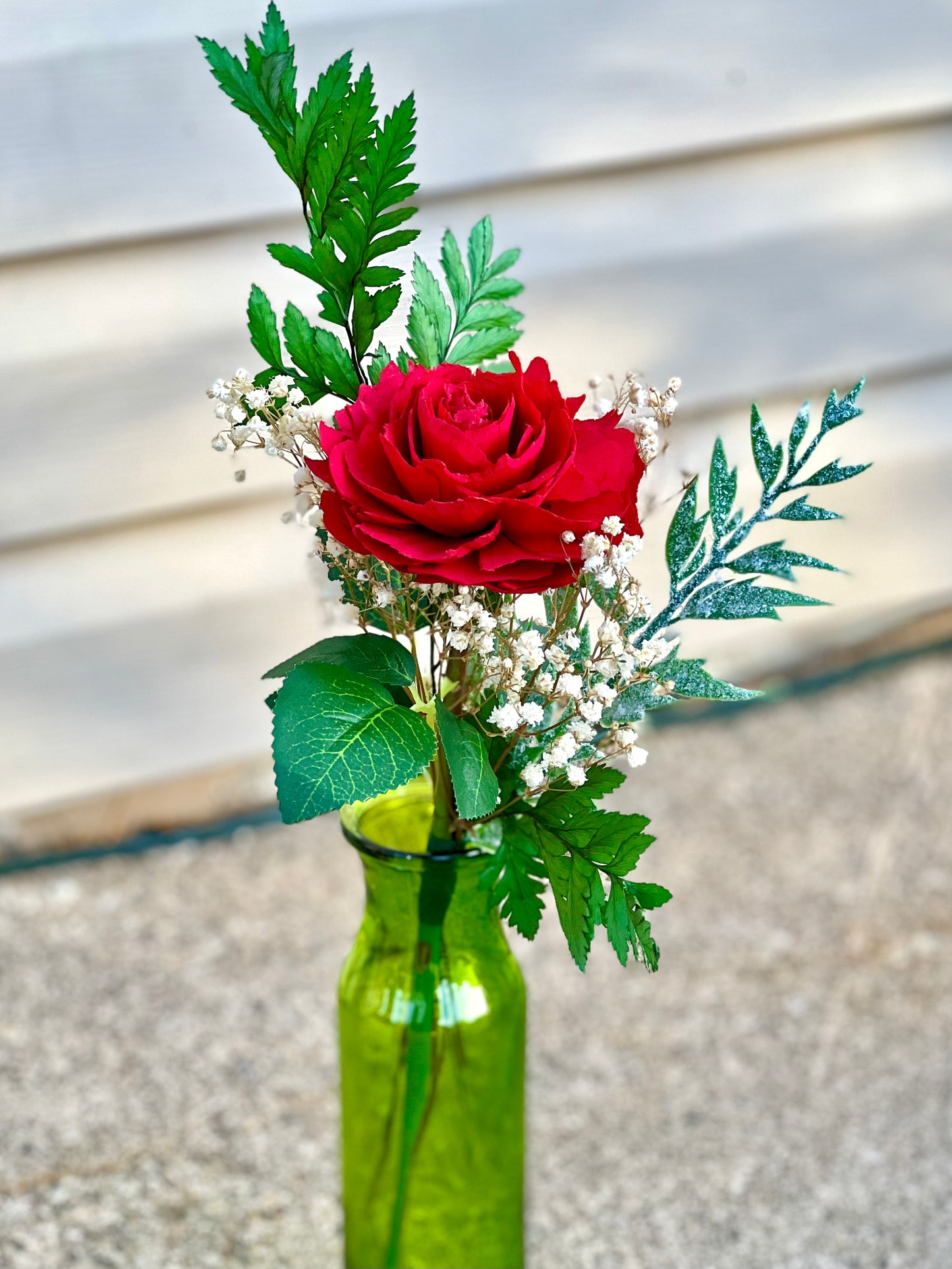 Single Red Garden Rose