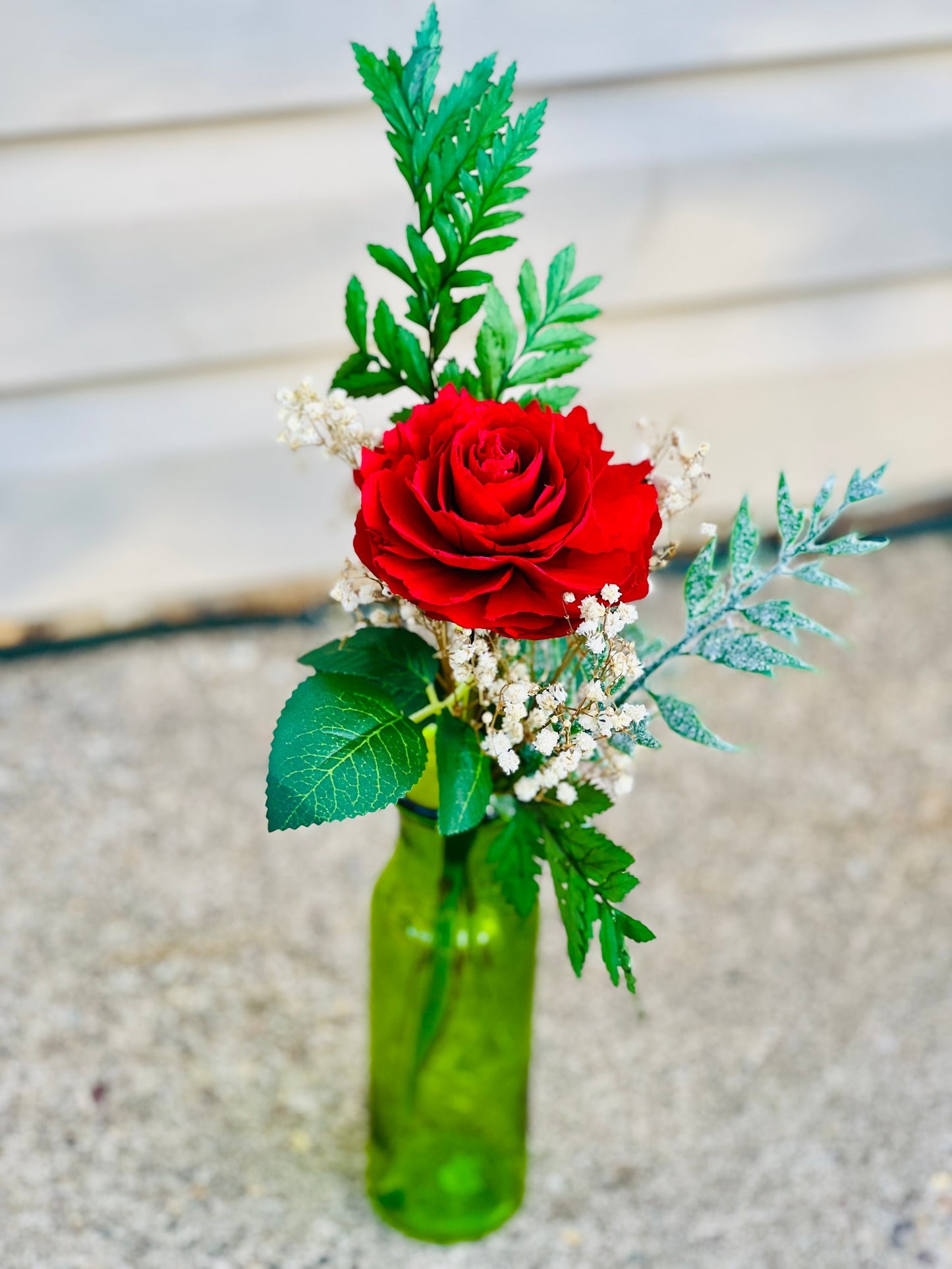 Single Red Garden Rose