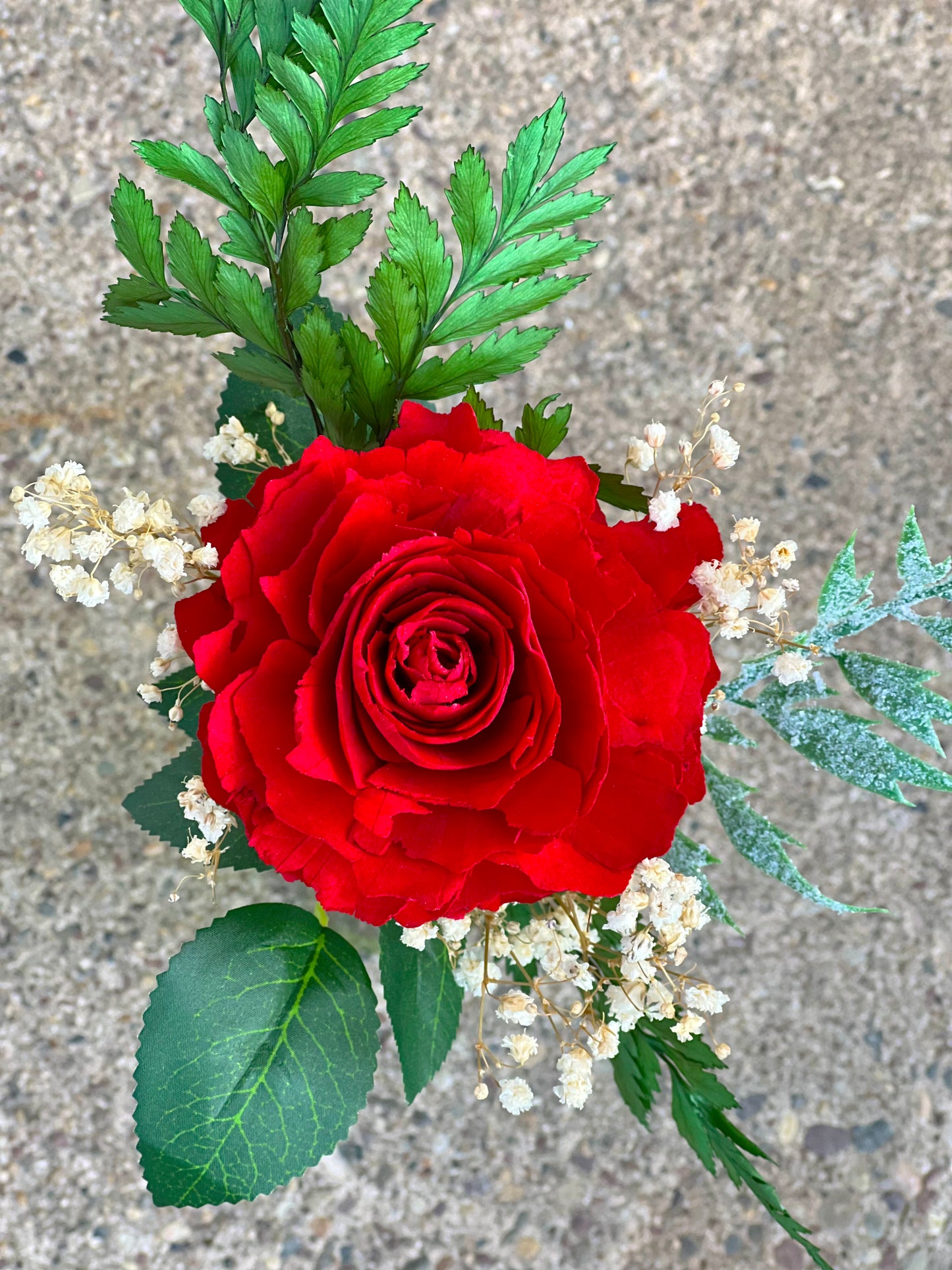 Single Red Garden Rose